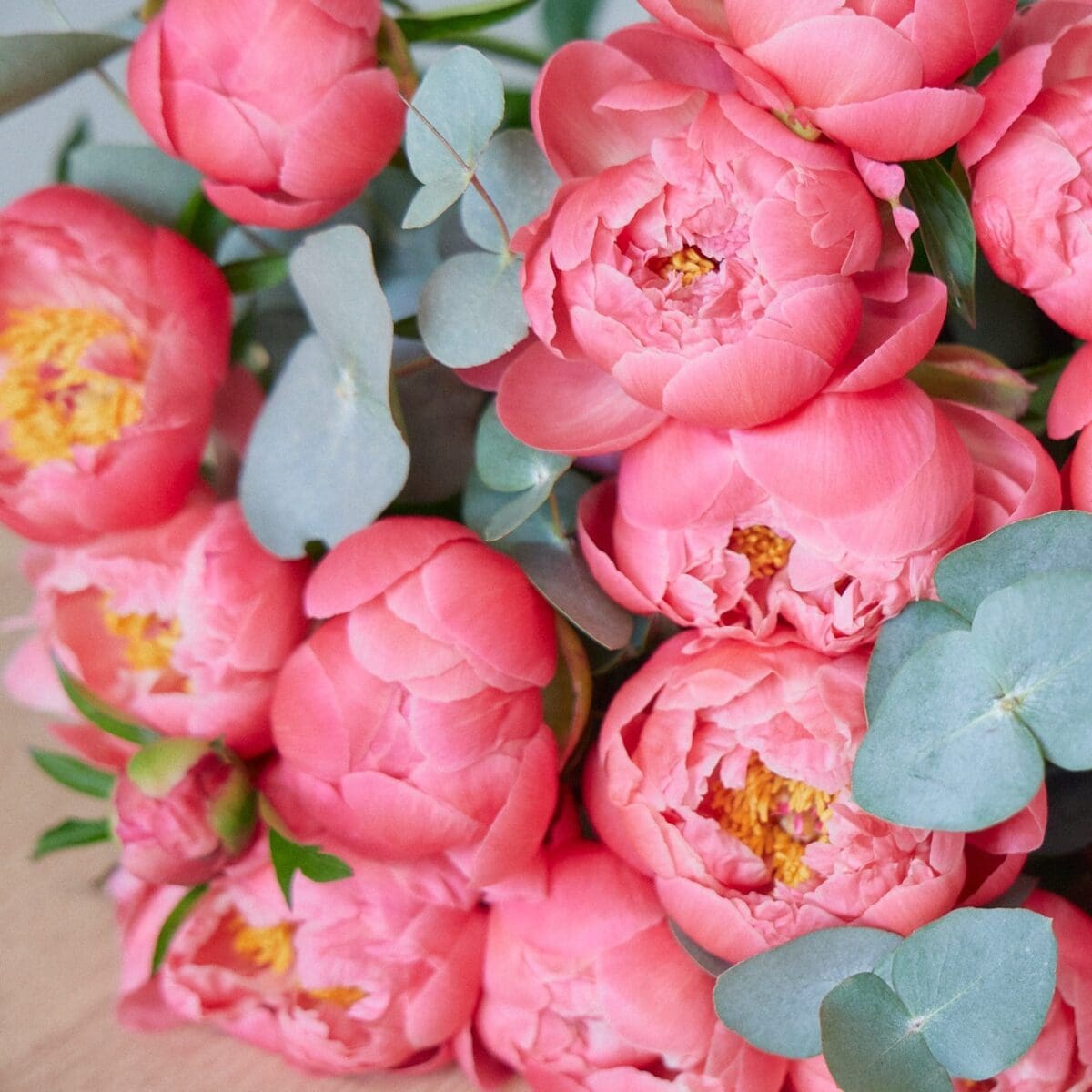 Bunch of Coral Peonies - Image 5